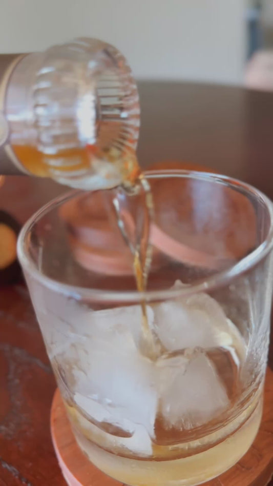 Florida Gator Coasters